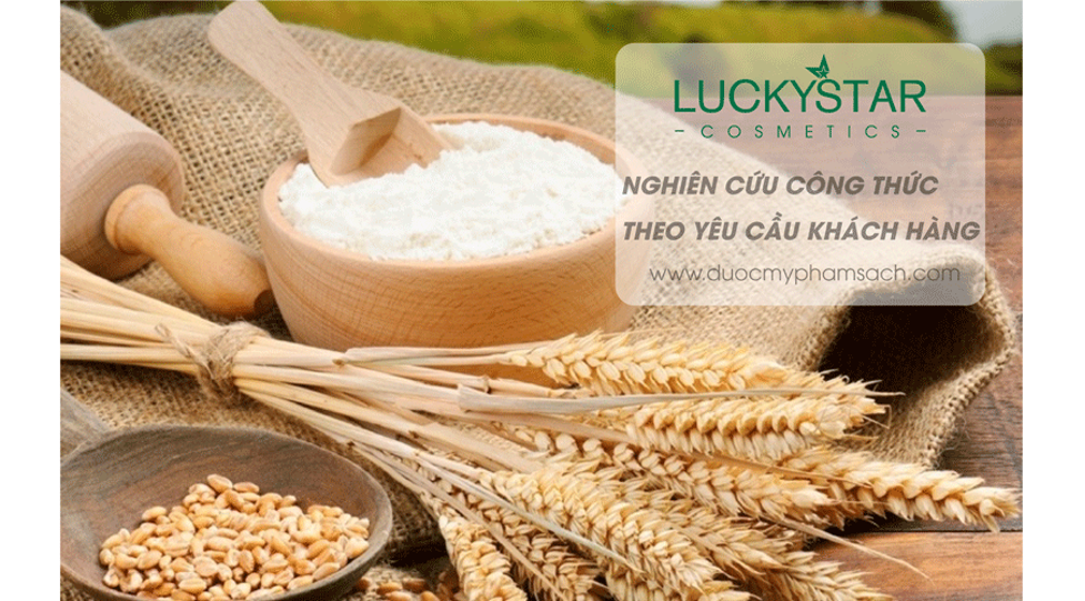 nhận phản hồi và sửa đổi mẫu gia công mỹ phẩm
