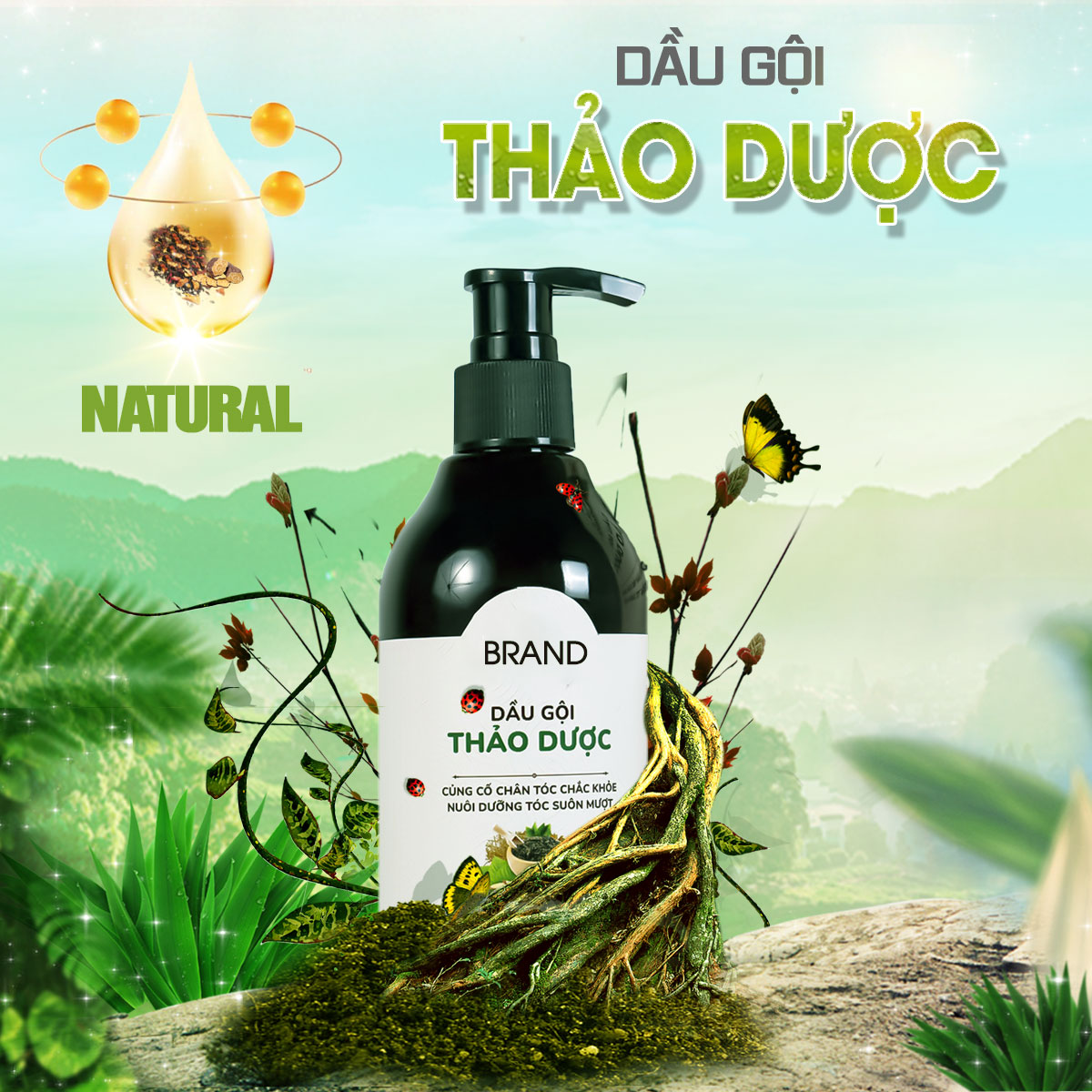 GIA CÔNG DẦU GỘI THẢO DƯỢC THIÊN NHIÊN - ĐÓN ĐẦU THỊ TRƯỜNG TIÊU DÙNG 2024