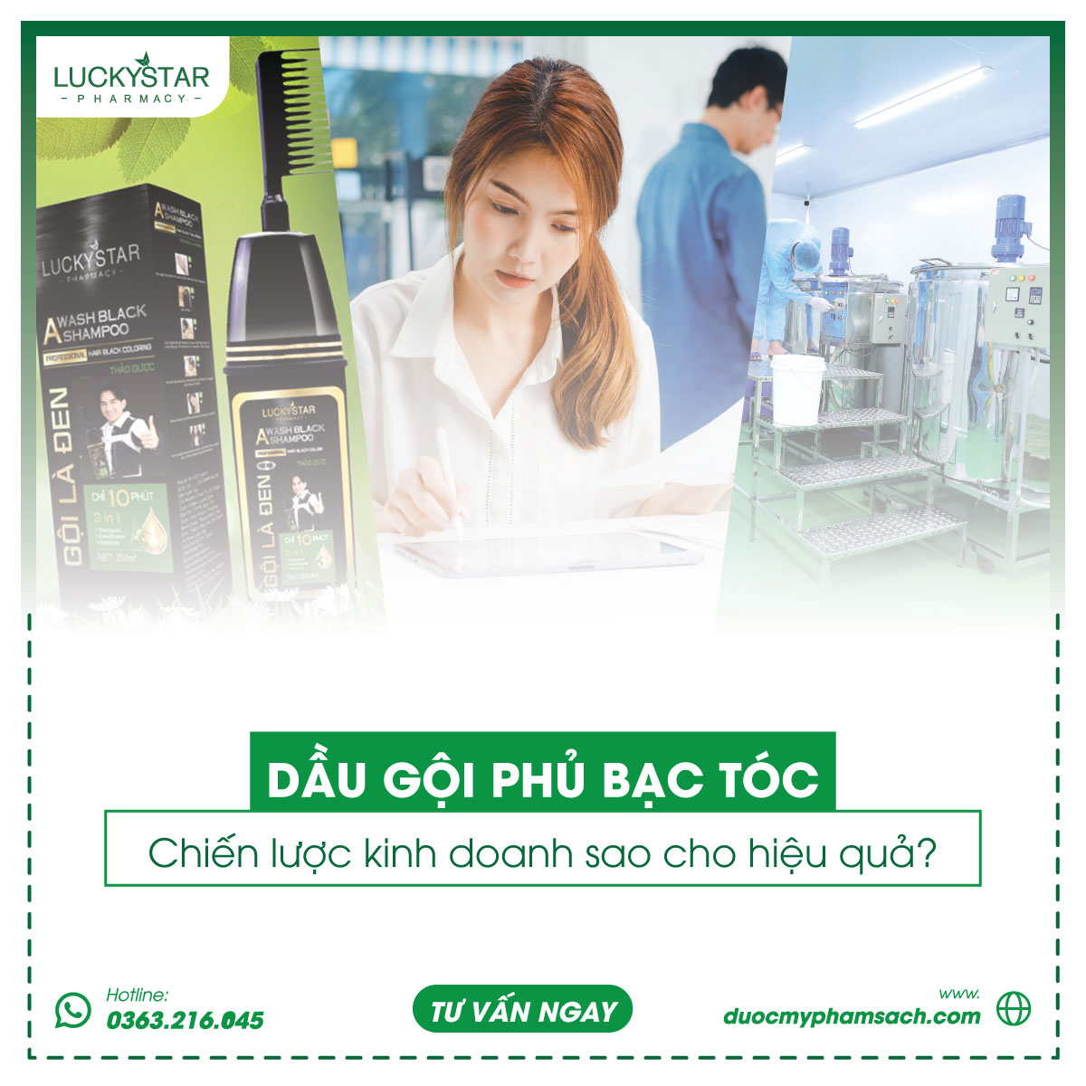 KINH DOANH DẦU GỘI PHỦ BẠC TÓC HIỆU QUẢ